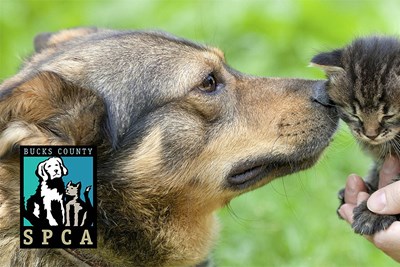 Bucks County SPCA