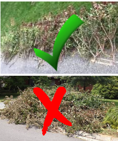 Spring Yard Waste Collection PHOTOS Do And Dont