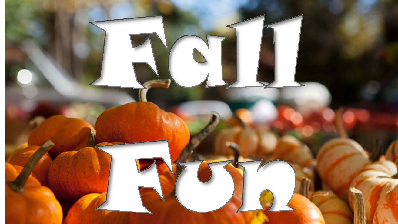 Fall Fun