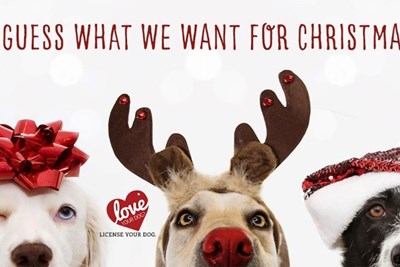 2023 Dog Licenses are on Sale Now