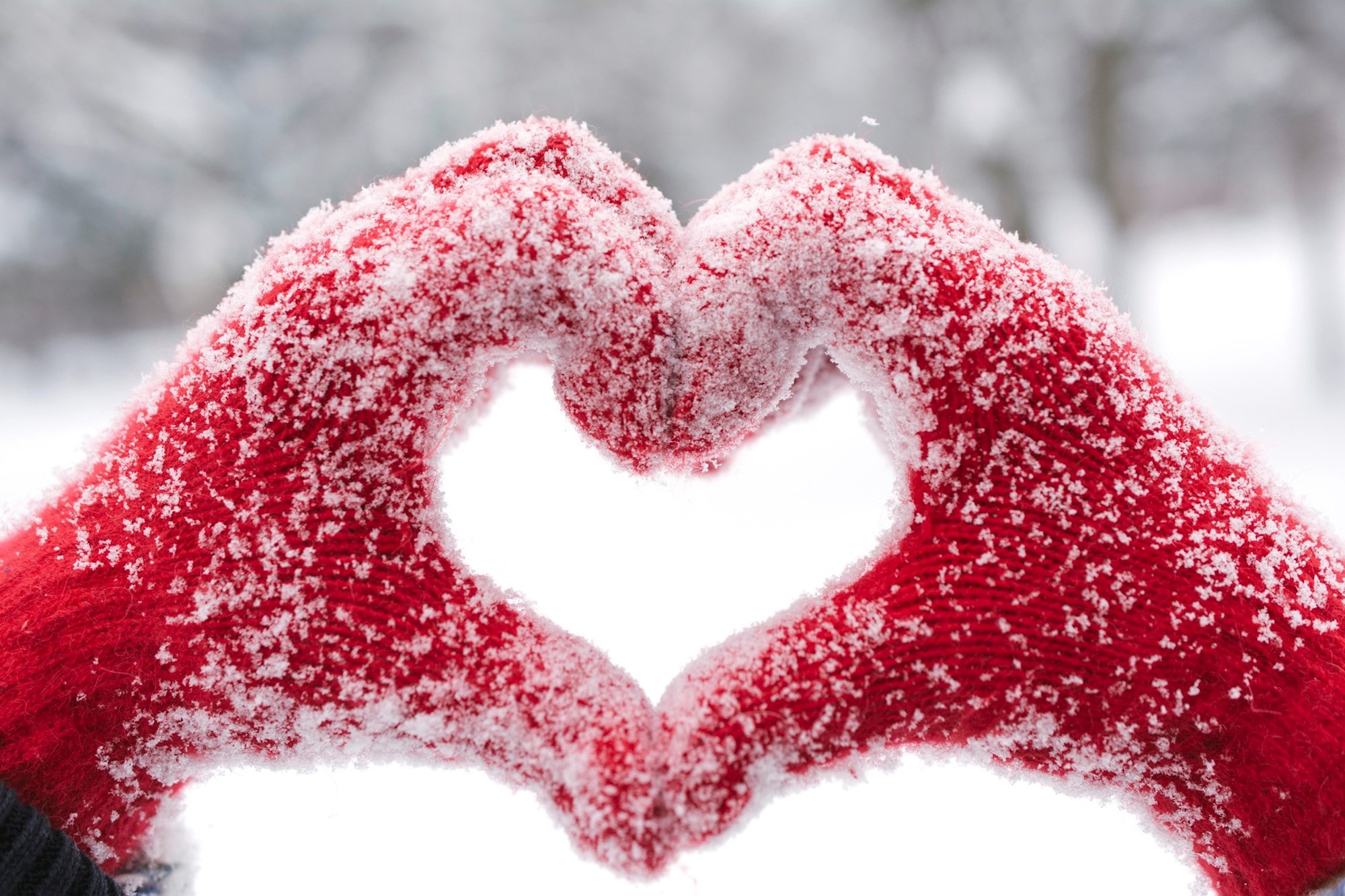 Snow Heart
