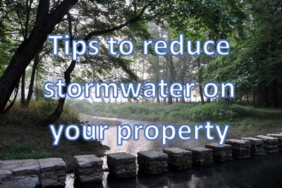 Spring 2025 Stormwater Tips