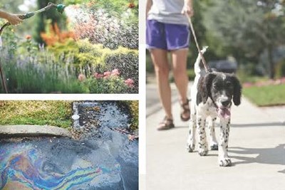 Summer 2023 Stormwater Tips