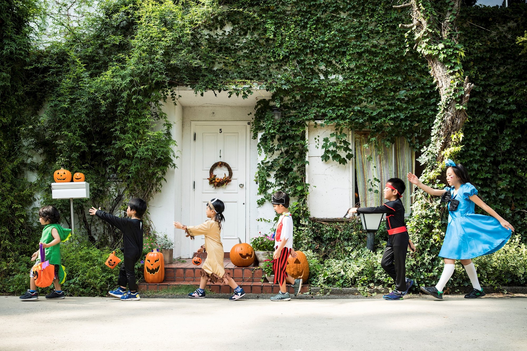 Trick Or Treat